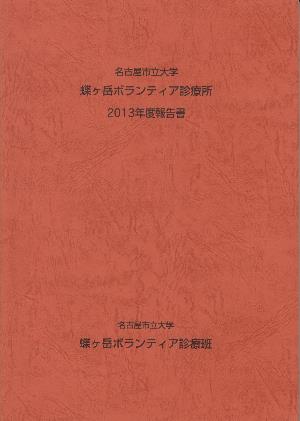 2013年度報告書